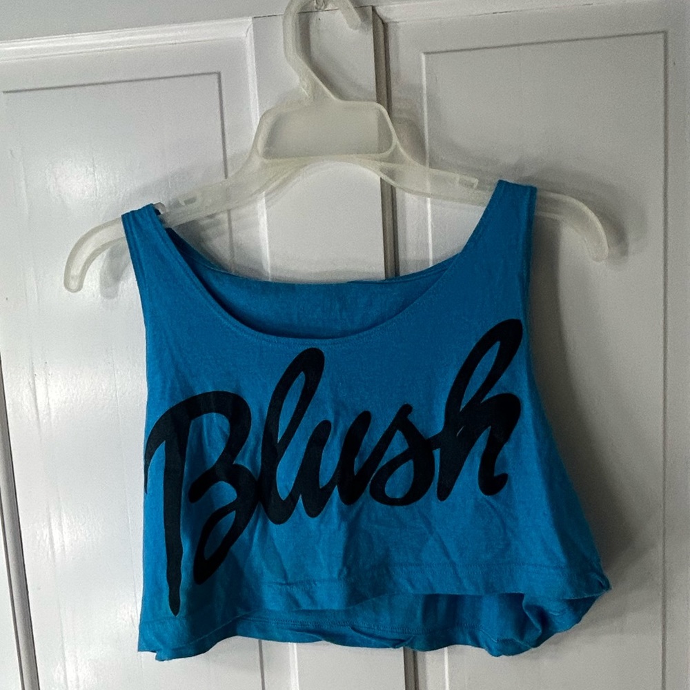 Blush blue crop top